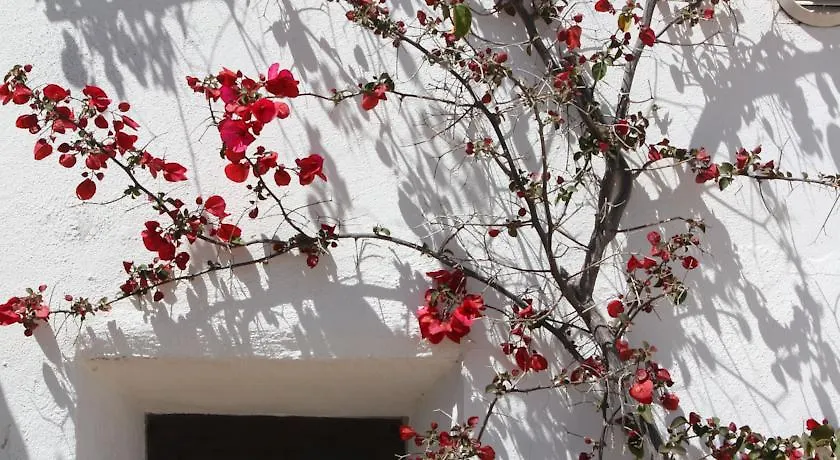 Comares Casa Del Molinero Guesthouse شقة