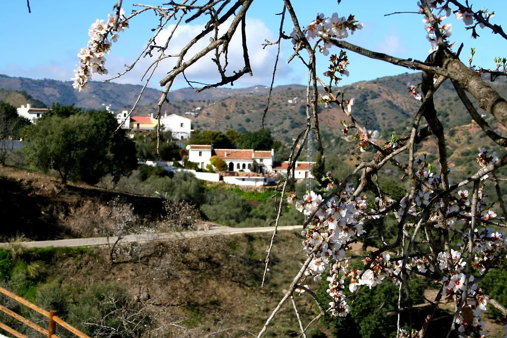Casa Del Molinero Guesthouse Comares