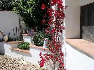 Casa Del Molinero Guesthouse Comares Spain